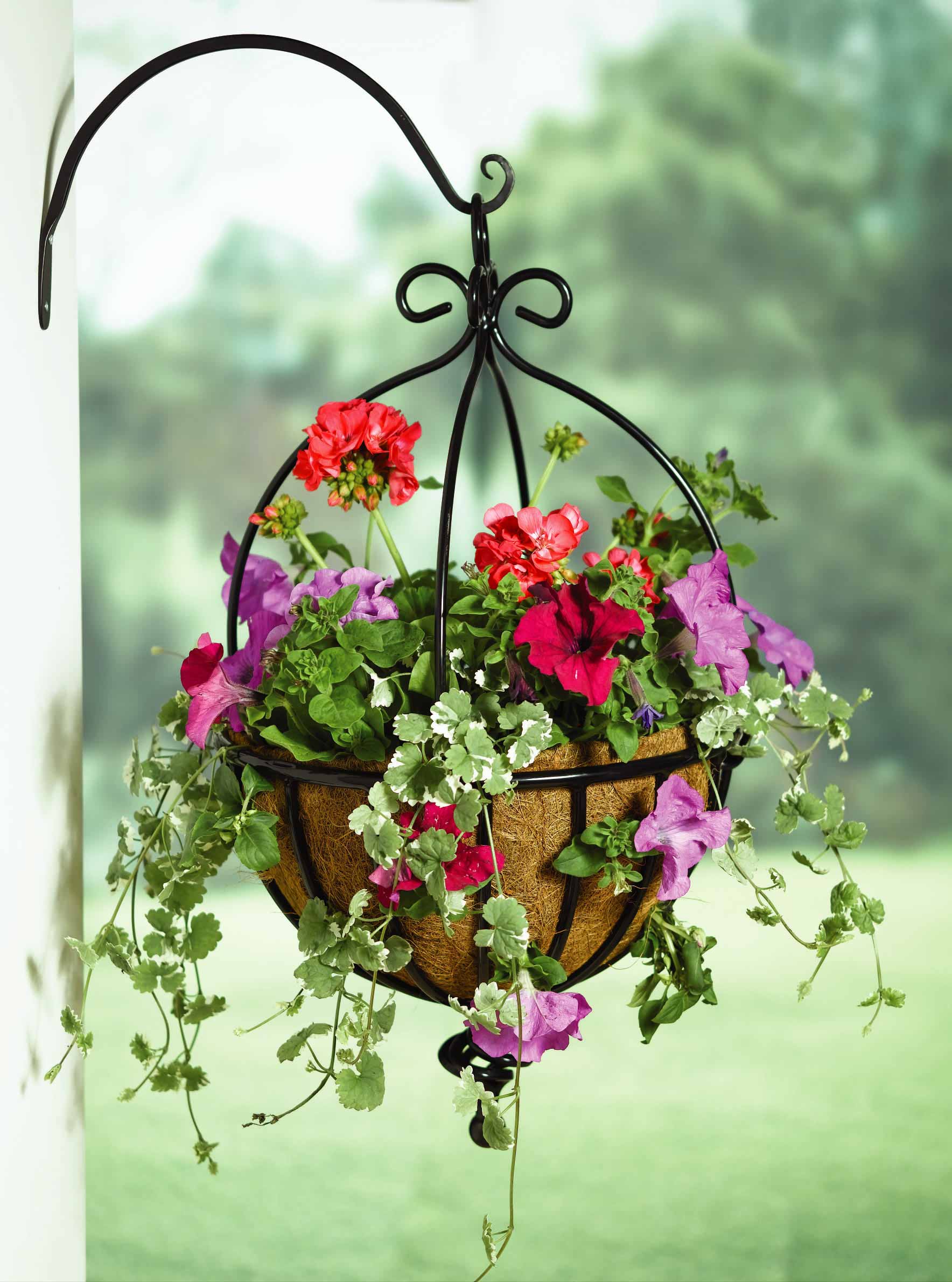 Spanish Hanging Basket - (Flowers not included)